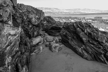 El Matador Beach, Malibu, 2021