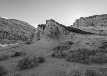 Mojave Desert, California 2021