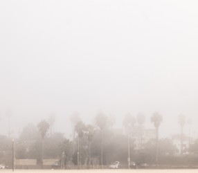 Santa Monica, 2021