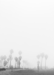 Santa Monica, 2021