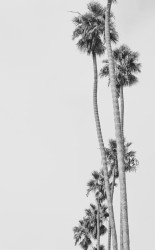 Santa Monica, 2021